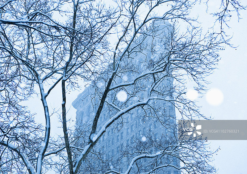 城市雪景树木图片素材