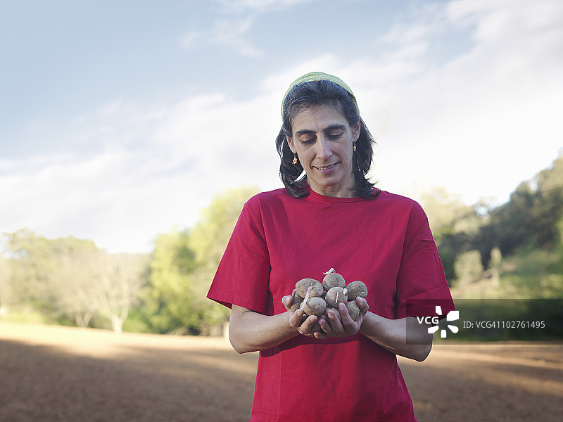 女人拿着要播种的土豆图片素材