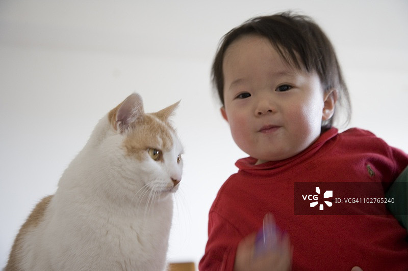 猫咪与男婴图片素材