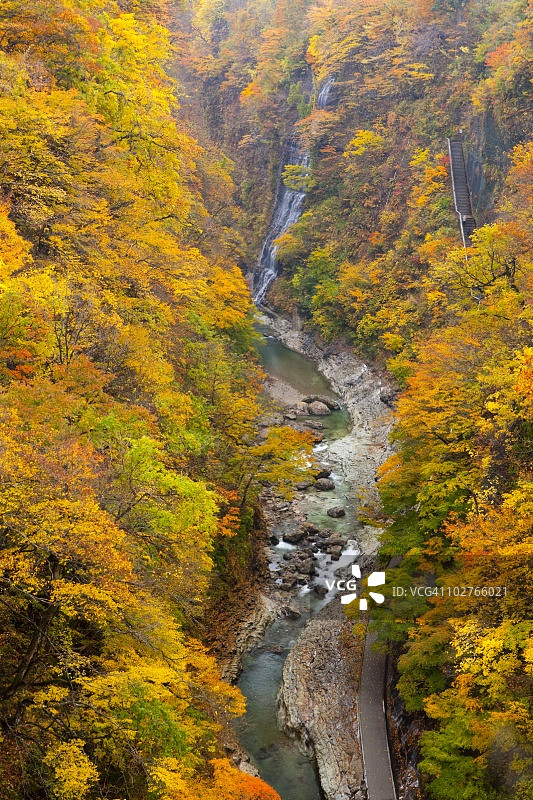 河流穿过日本秋田县汤泽秋季的树木覆盖山脉。图片素材