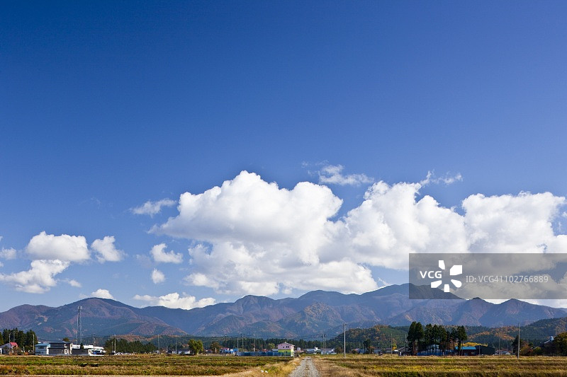 秋季乡村景色，前景为农作物，背景为山脉，蓝色多云天空下。日本秋田县大仙市图片素材