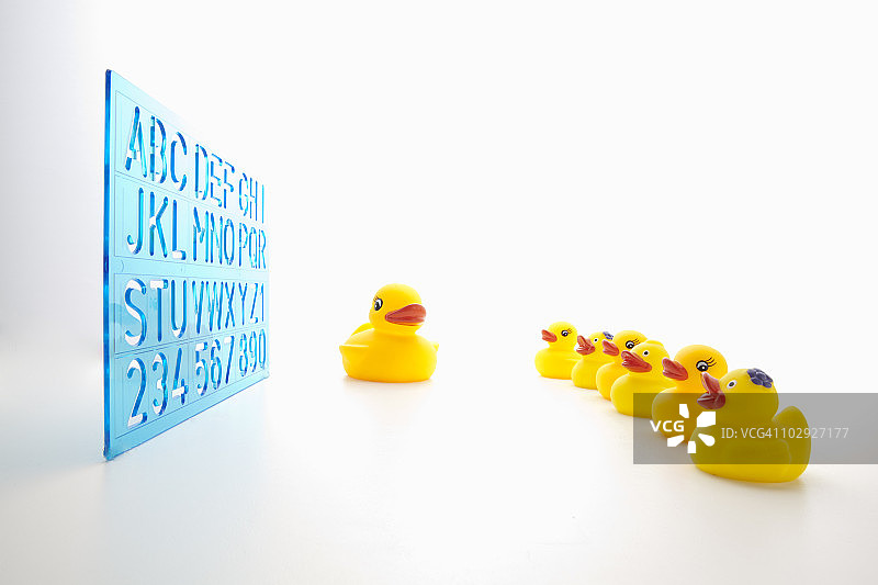 玩具鸭和字母表图片素材