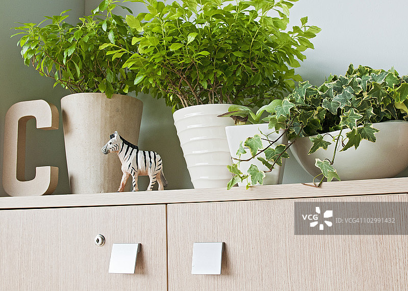 柜子上的植物图片素材
