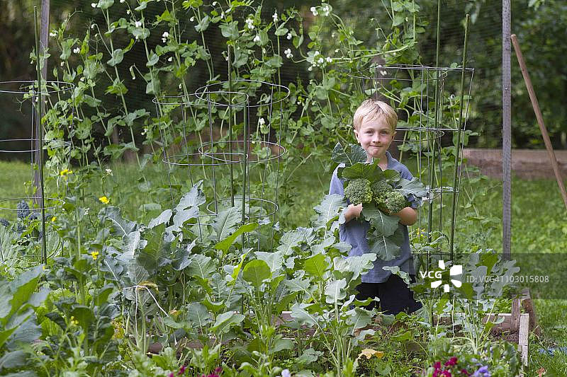 花园男孩图片素材