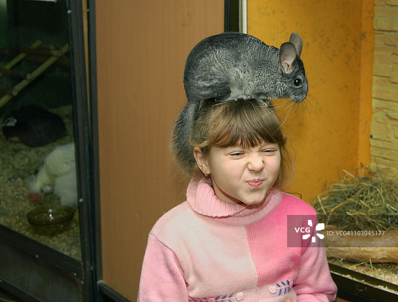 小女孩和龙猫图片素材