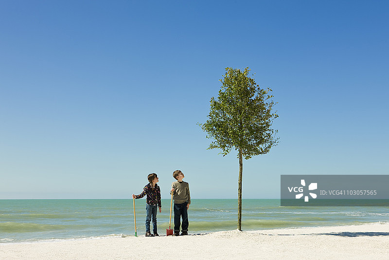 孩子们拿着铲子站在海滩上种植的树旁图片素材