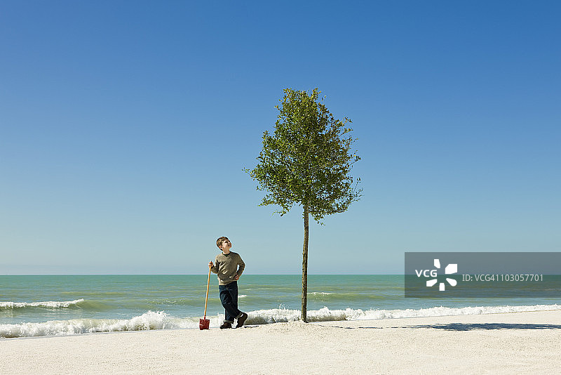 男孩站在海滩上种的树旁，拿着铲子图片素材