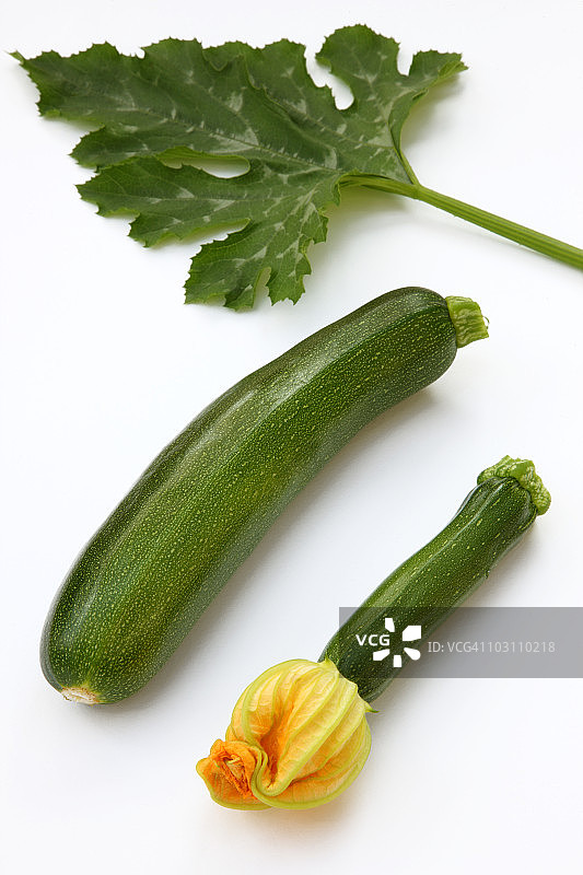 两根带叶子的新鲜切好的西葫芦图片素材