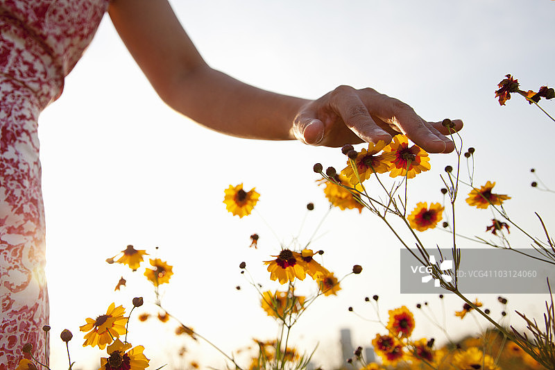 女人在草地上触摸野花图片素材