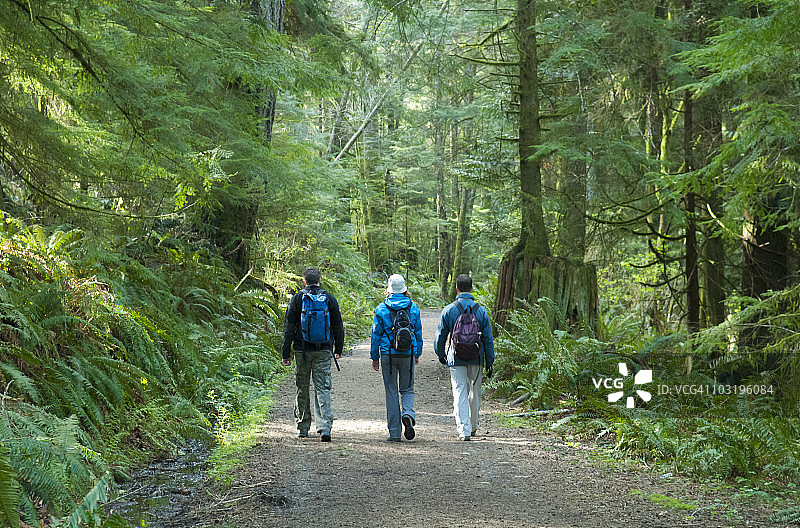 森林小路上的三名徒步旅行者图片素材