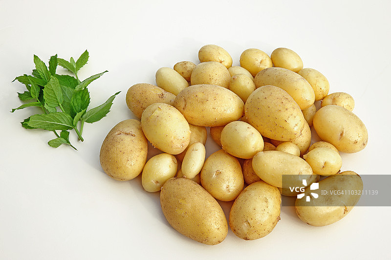 薄荷新土豆，准备烹饪图片素材