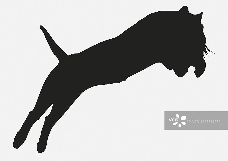 猛虎剪影黑白数绘插画图片素材