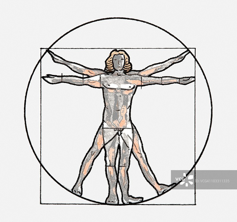 维特鲁威人符号插画图片素材