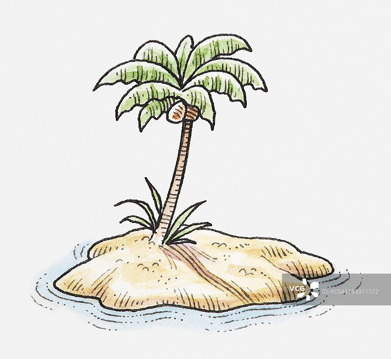 荒岛上的椰子树插画图片素材