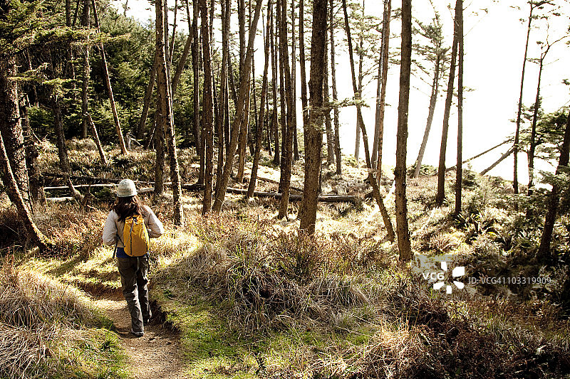 女人在树林中徒步旅行，走在僻静的小路上图片素材