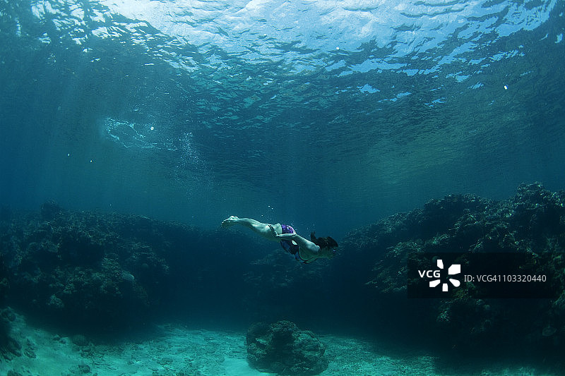 在斐济亚萨瓦群岛热带水域游泳者水下视角图片素材