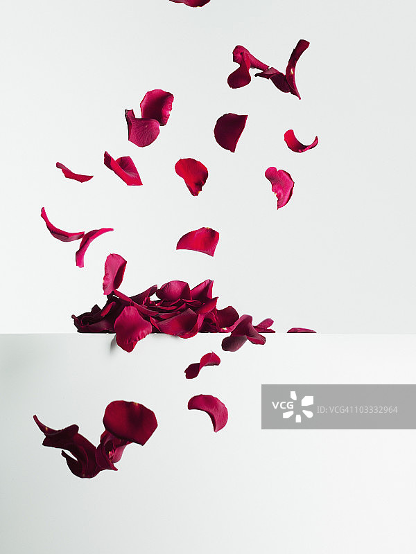 红色玫瑰花瓣飘落图片素材