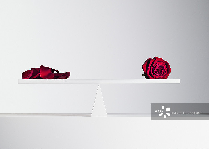 跷跷板两端平衡的红色玫瑰和玫瑰花瓣图片素材