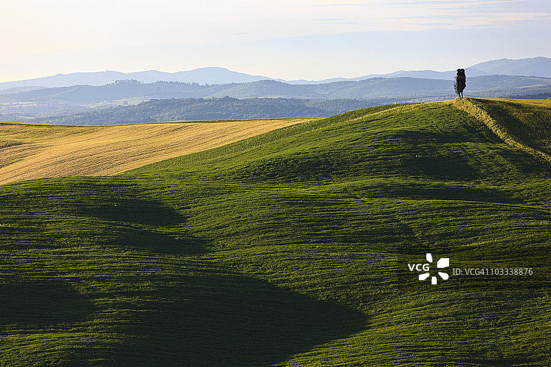 勒克雷特，丘陵景观中的柏树图片素材