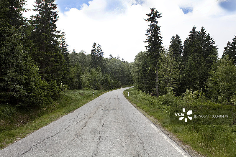 穿过森林的空旷道路图片素材