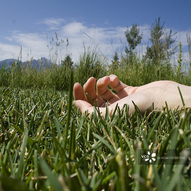 在夏日草地上放松身心图片素材