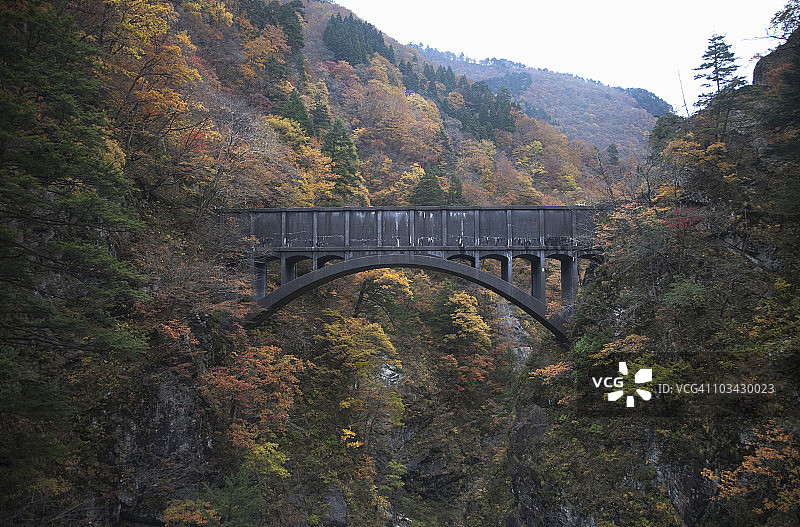 山峡中的桥梁图片素材