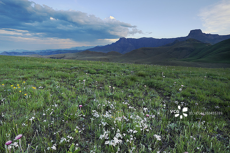 南非自由邦省德拉肯斯山脉圆形剧场傍晚光线图片素材
