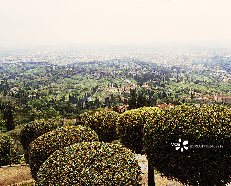 菲耶索莱的月桂树图片素材
