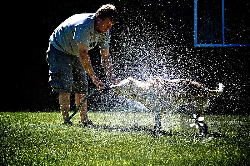 用水管给狗洗澡图片素材