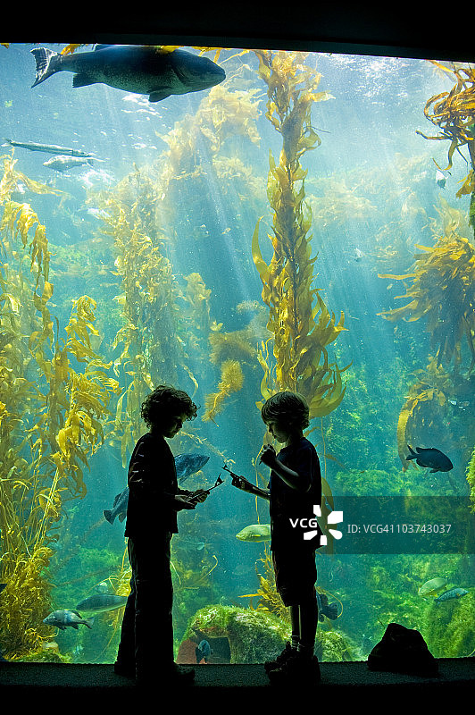 两个男孩在水族馆做笔记图片素材