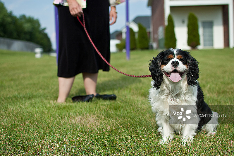 牵着绳子的木偶图片素材
