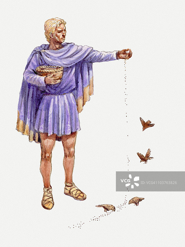 亚历山大大帝喂鸟插画图片素材