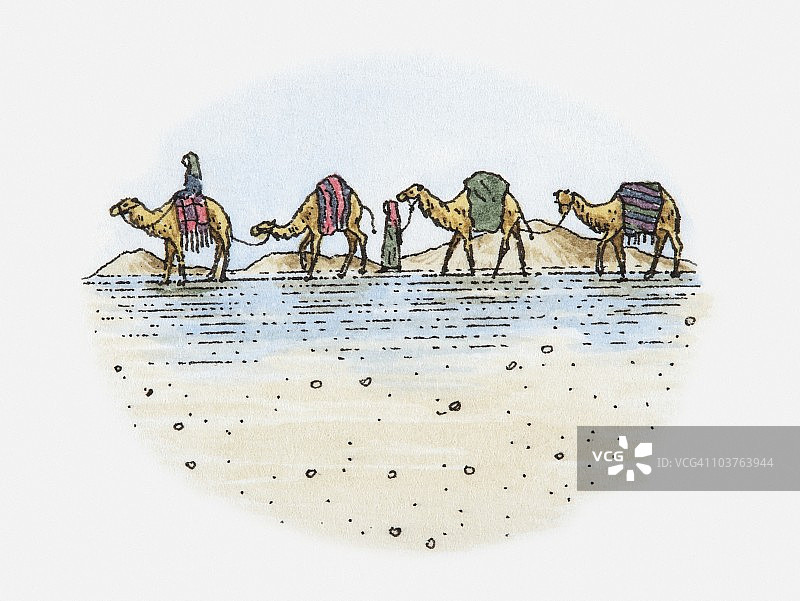 沙漠中的骆驼队插画图片素材
