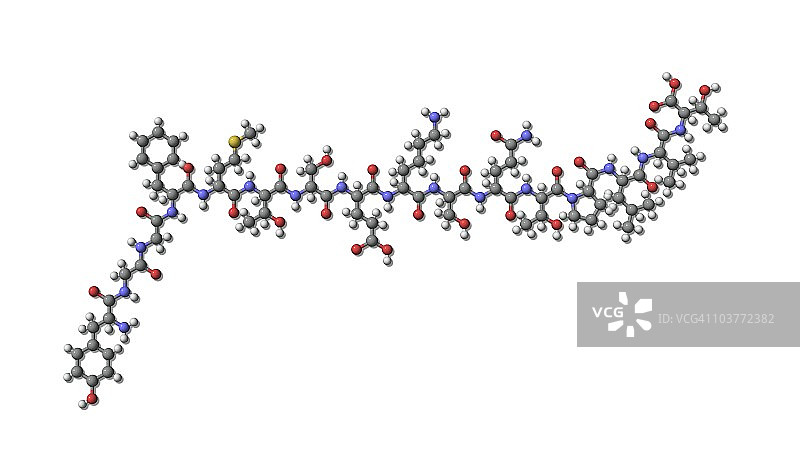 α-内啡肽分子模型图片素材