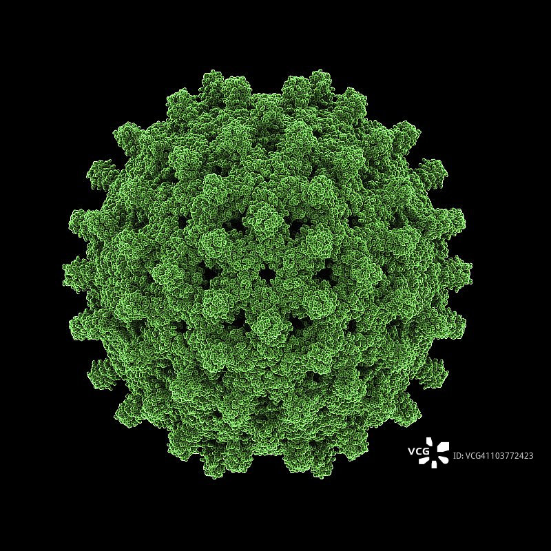 乙型肝炎病毒颗粒图片素材