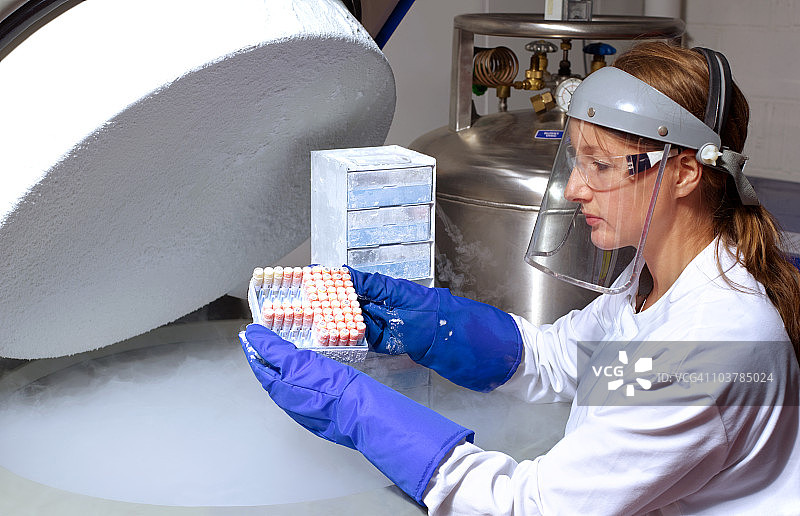 科学家从液氮中取出人体细胞图片素材