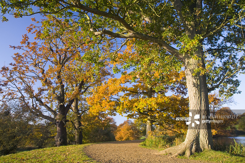 秋季博迪亚姆城堡护城河边的小路图片素材