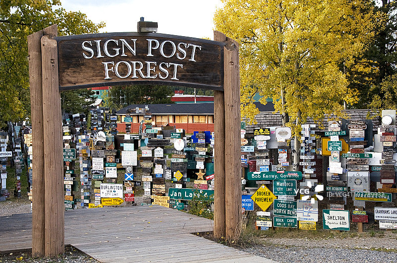 标志杆森林图片素材