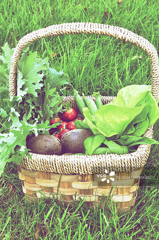 夏季丰收图片素材