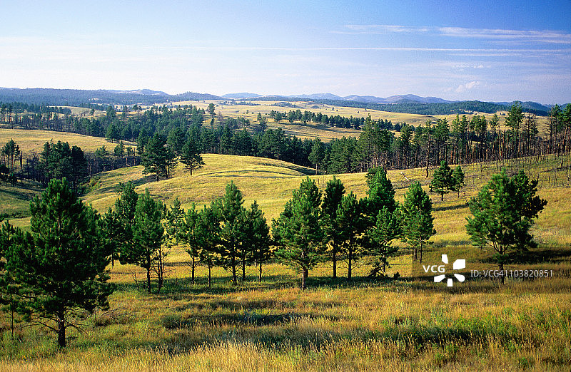 草原景观图片素材