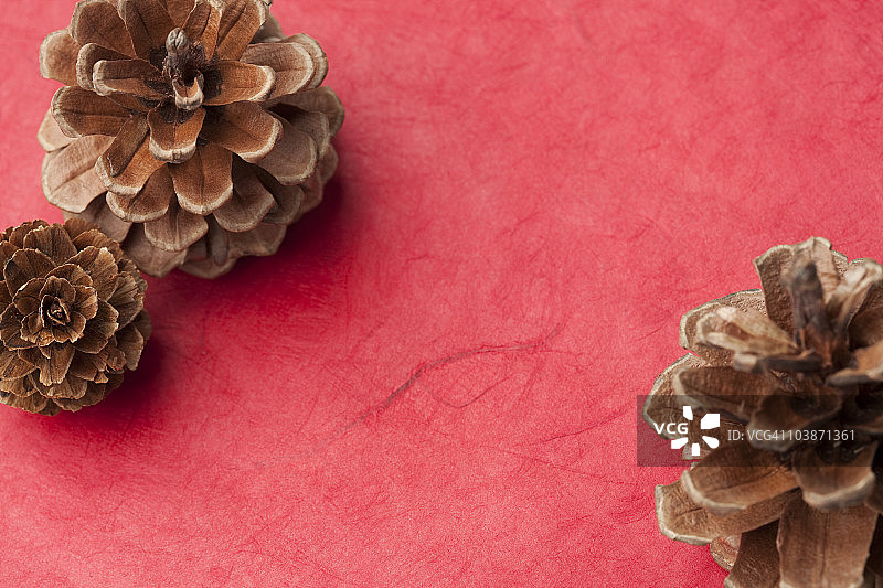 红色背景上的松果图片素材