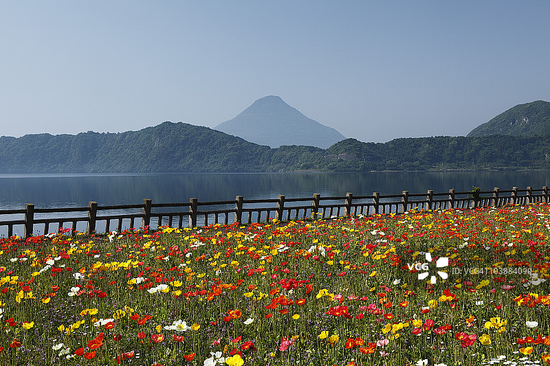 日本鹿儿岛县指宿市花园图片素材