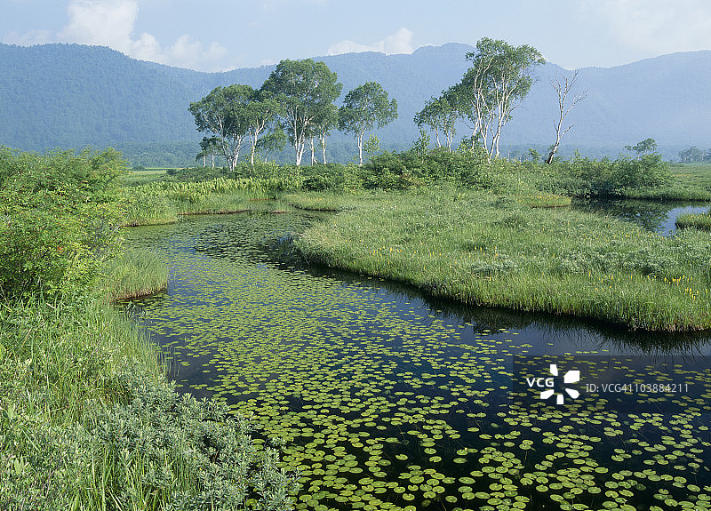 日本群马县片品村尾濑图片素材
