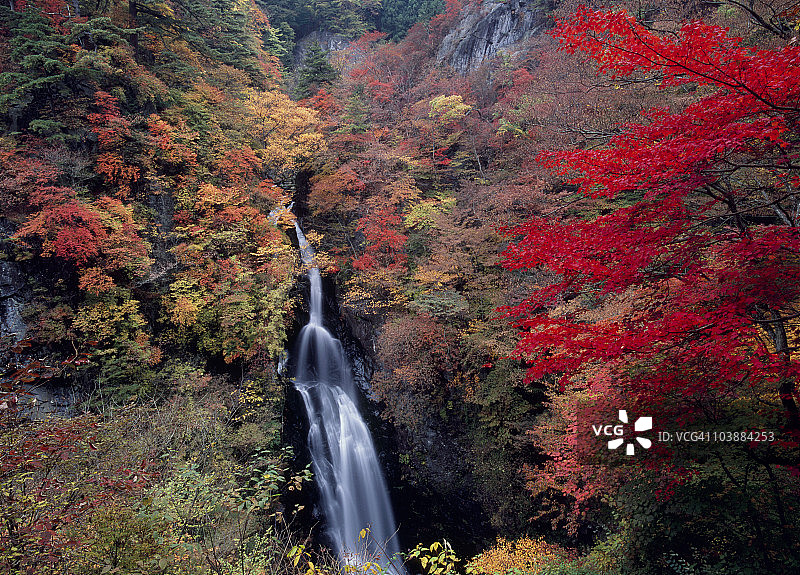 小长井瀑布，日本群马县绿市图片素材