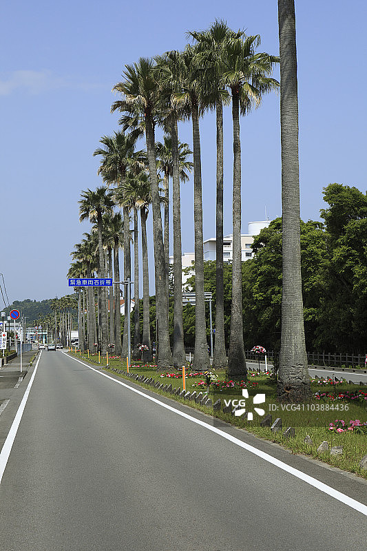 日本宫崎县日南海岸公路公园图片素材