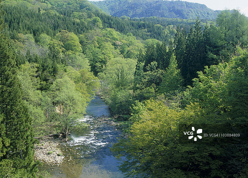 暗门川，白神山地，西目屋村，中津轻郡，青森县，日本图片素材