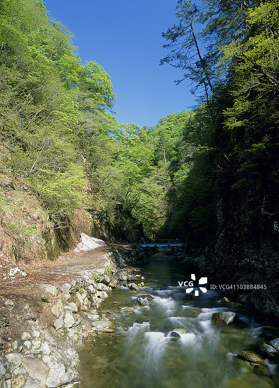 暗门川，白神山地，西目屋村，中津轻郡，青森县，日本图片素材