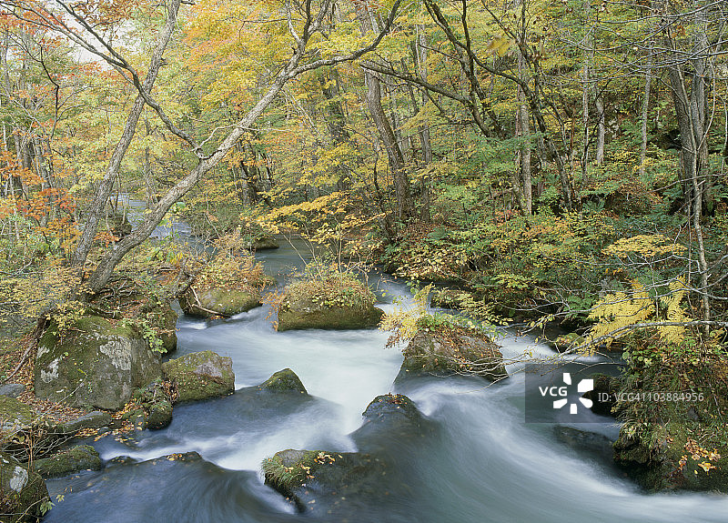 日本青森县十和田市奥入濑溪流图片素材