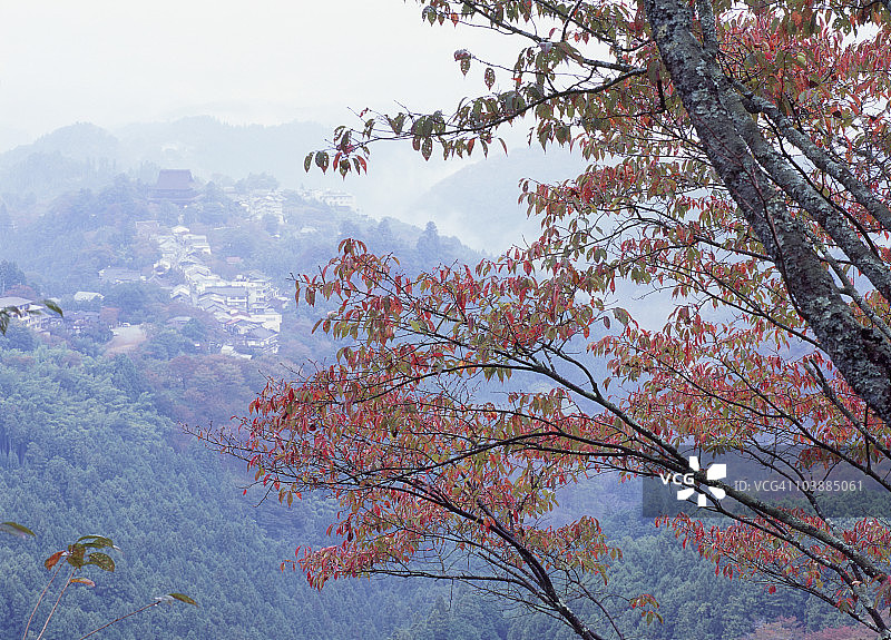 日本奈良吉野山秋叶美景图片素材