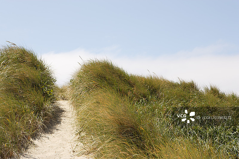 海滩草地沙丘系列图片素材